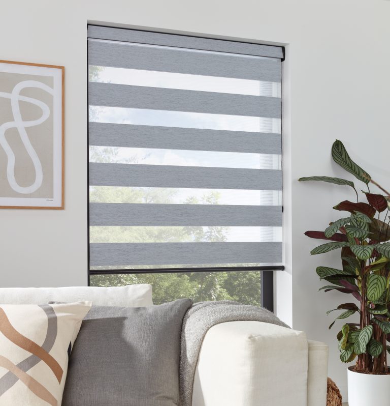 Gray dual-layer zebra roller blind on window in living room with abstract art, plant, and neutral sofa with cushions.